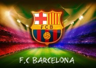 用户反馈分析中完美体育赛事官方的表现功能介绍