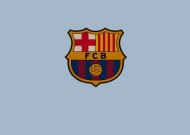 全面解析：完美体育直播机构