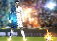 完美体育赛事官方常见问题解答操作教程