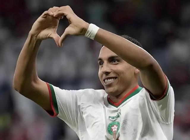 完美体育品牌-阿尔维斯加盟里昂，将为球队注入新活力  第2张