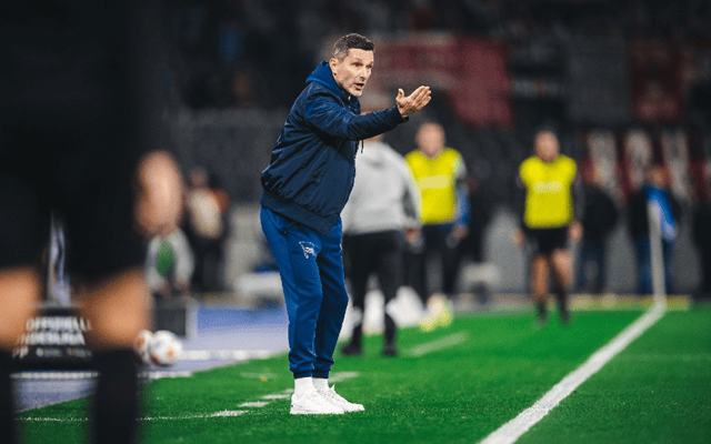 完美体育直播机构-柏林赫塔险胜保级对手，球迷欢呼雀跃的简单介绍  第1张